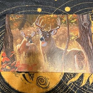 Deer decor from bass pro shops